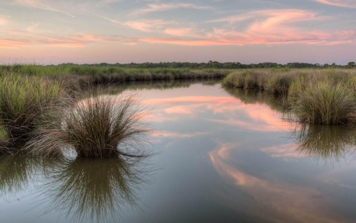 Pink and blue skies with wispy clouds are reflected in water surrounded by marsh grass
